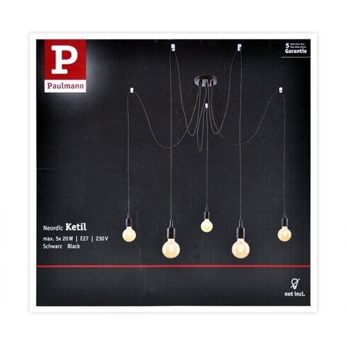 PAULMANN 50389 - Luster na sajli NEORDIC 5xE27/20W/230V pauk Slike