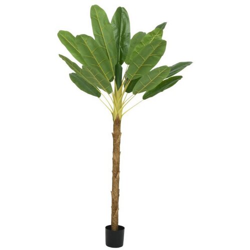 Ambia Home UMETNA RASTLINA 120/230/100 cm Slike