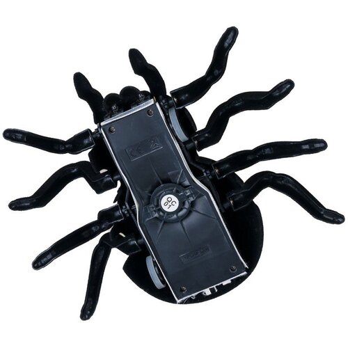  Tarantula na daljinski Slike