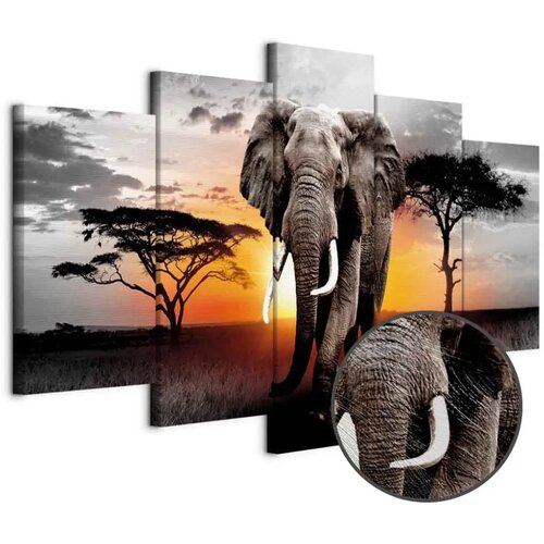  Slika - Elephant at Sunset 100x50 Premium Print Cene
