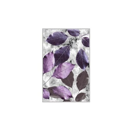 Conceptum Hypnose tepih Hmnt572, 80x150cm, &amp;scaron;areni Slike
