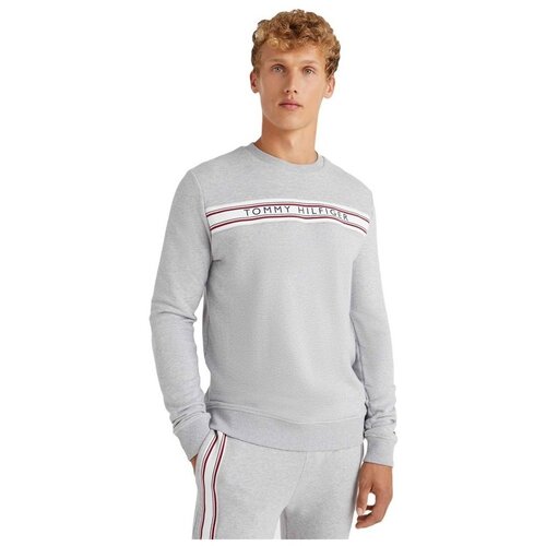 Tommy Hilfiger UM0UM02426P61 Siva Slike