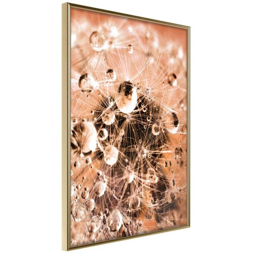  Poster - Drops on Dandelion 40x60 Slike