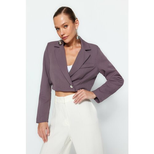 Trendyol Gray Crop Jacket With Woven Lining Cene