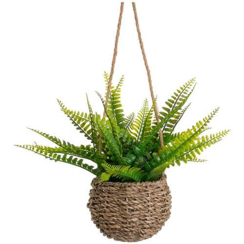Casa Selección Umetna praprot (višina 25 cm) – Cene