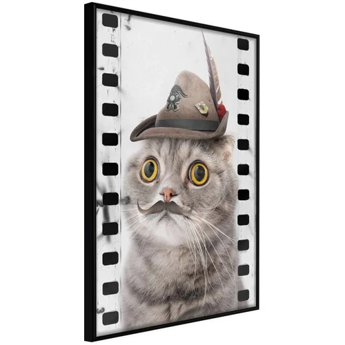  Poster - Dressed Up Cat 20x30