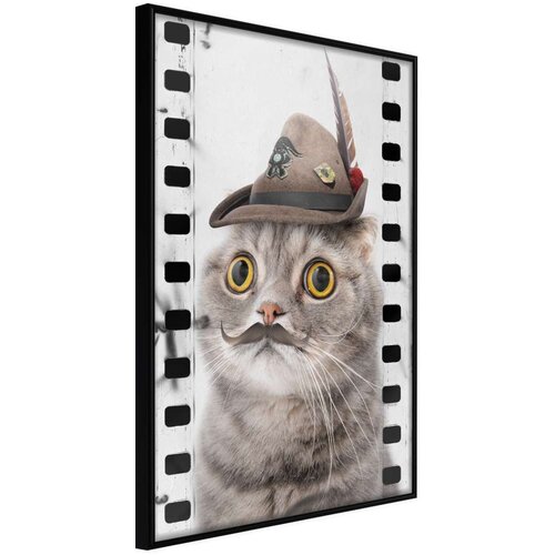  Poster - Dressed Up Cat 20x30 Slike