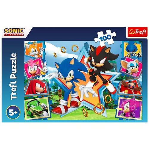 Trefl Puzzle Upoznajte Sonika - 100 delova Cene