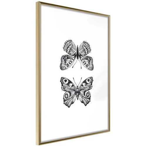  Poster - Butterfly Collection I 30x45