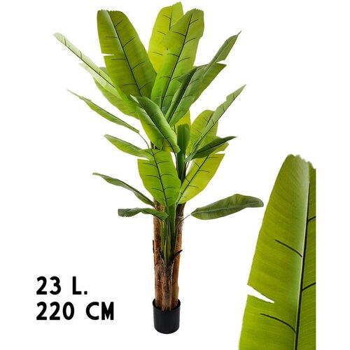 Lilium banana 1x3 sa 23 lista, 220 cm, 567383 Cene
