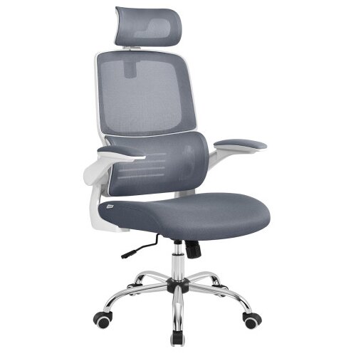 Master Stolica kancelarijska DC254 Siva / Bijela Cijene