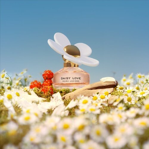 Marc Jacobs Daisy Love toaletna voda 50 ml za ženske Slike