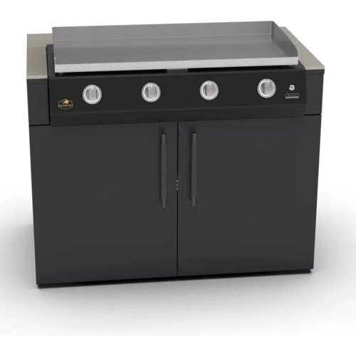 Brabura Modul za letno kuhinjo - Za žar BoxQ (KC 120 Drop-in) Cene