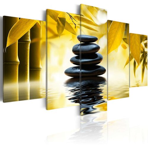  Slika - Safflower relaxation 100x50 Slike