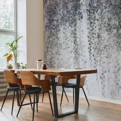  Foto tapeta - Peaceful oasis - landscape of hanging black leaf vines on a grey background 250x175 Slike