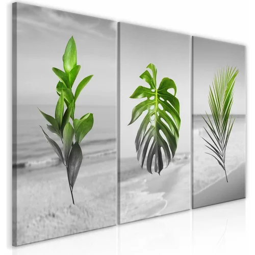 Slika - Plants (Collection) 120x60