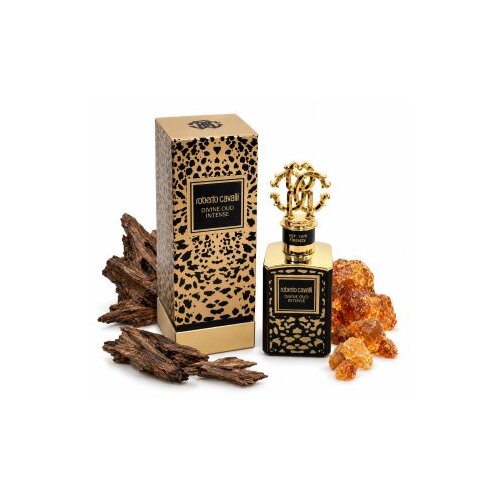 Roberto Cavalli Divine Oud Intense parfumirana voda unisex 100 ml Slike