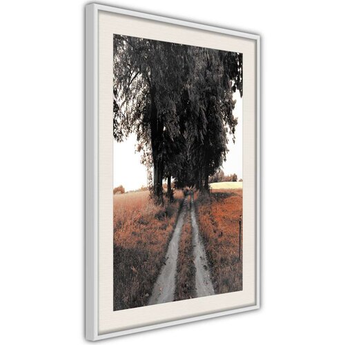  Poster - Field Path 30x45 Slike