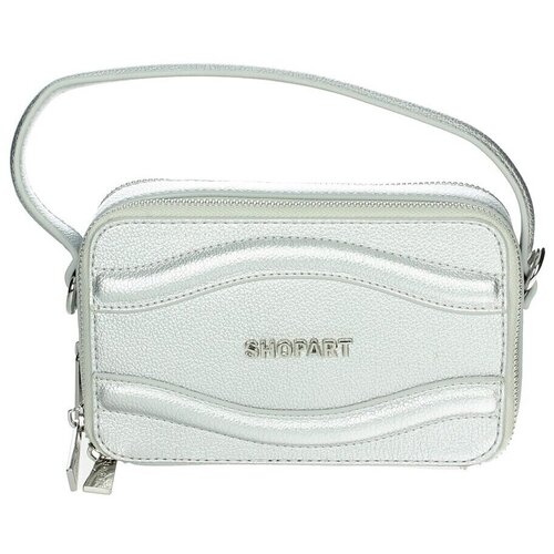 Shop Art SAAS250104 Srebrna Slike