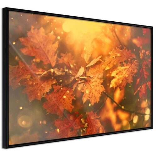  Poster - Golden Autumn 60x40 Cene