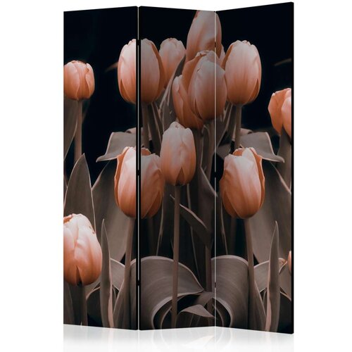  Paravan u 3 dijela - Ladies among the flowers [Room Dividers] 135x172 Slike