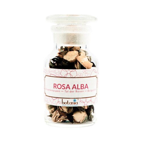 Botania premium Rosa Alba Slike