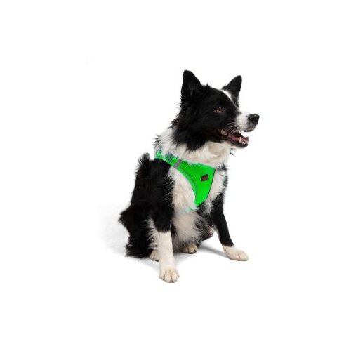 Paws & Whiskers am za pse air-mesh, zeleni Cene
