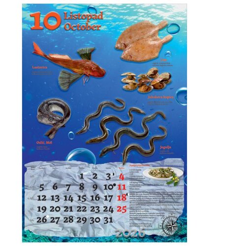  KALENDAR &amp;quot;RIBARNICA 2026&amp;quot; 13 LISTOVA, SPIRALA Slike