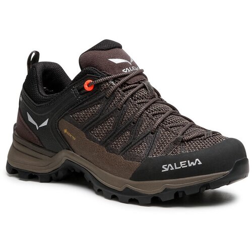 Salewa Mtn Trainer Lite Gtx Smeđa Cijene