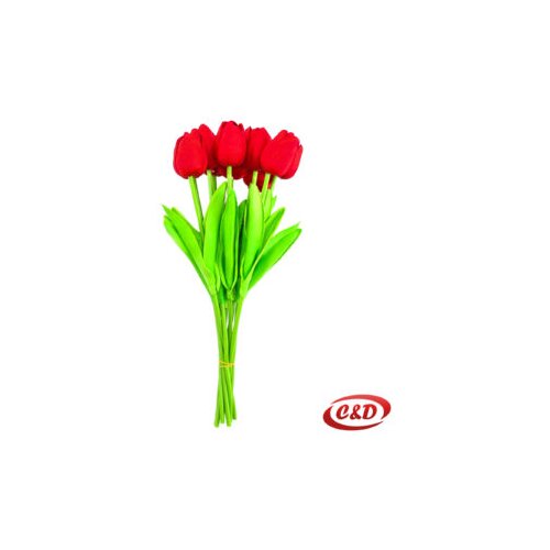  Tulipan 1 komad Slike