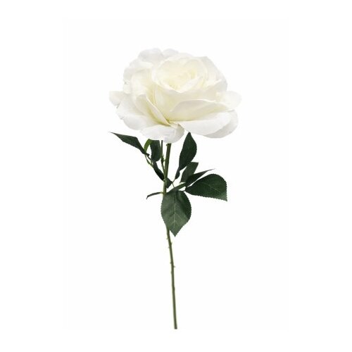 Dekordom Cvet rose 1183181/1 - white - edl ( 044761 ) Cene