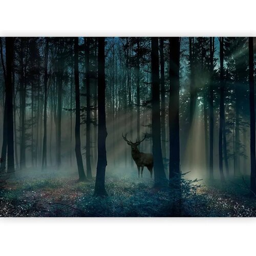  Foto tapeta - Mystical Forest - Third Variant 250x175 Standard Slike