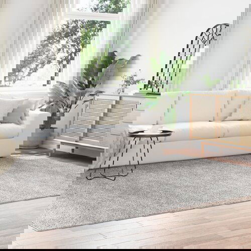 VidaXL Tepih Sivi Polipropilen 240 x 340 cm Tepih za područja Slike