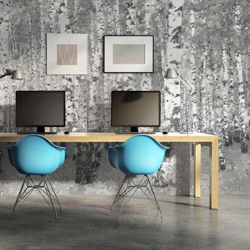 Tapeta - Birch seclusion 450x270 Slike