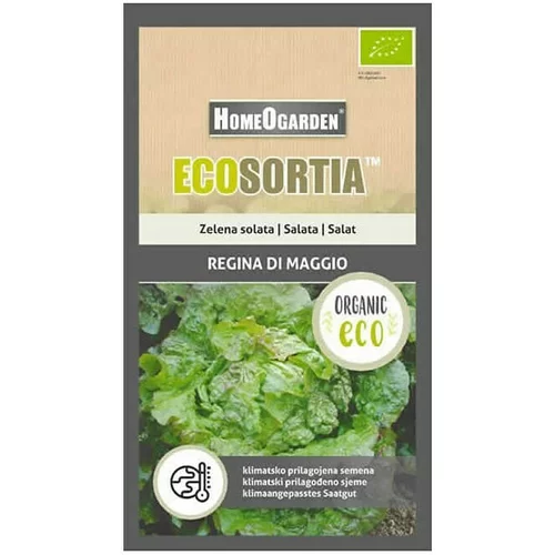HOMEOGARDEN Sjeme povrća Ecosortia salata-svibanjska kraljica (Botanički opis: Lactuca sativa L.)