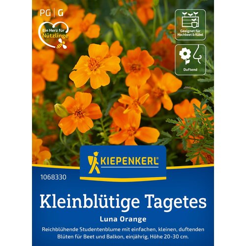 KIEPENKERL Žametnica z malimi cvetovi "Luna Orange" - 1 pkt. Cene