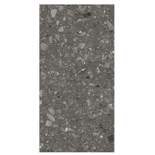  Kamena podna pločica Terra Anthracite (120 x 60 cm, Antracit, Mat) Cijene