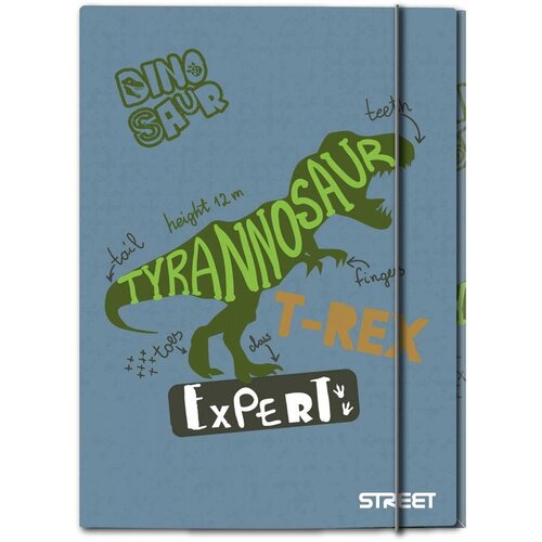 MAPA z elastiko a4 1cm street dino STREET Cene