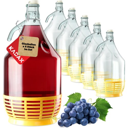 KADAX Carboy 5L steklenica, ženska steklenica za vino, liker in pokrovček, 6 kosov, (5000354877) Cene