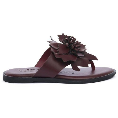 Wonders Japonke 1587MOSTO Bordo Cene