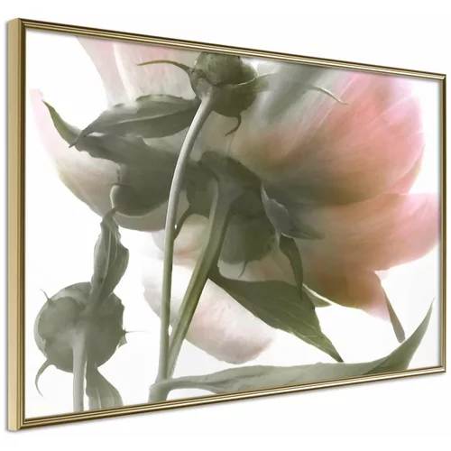  Poster - Under the Flower 60x40
