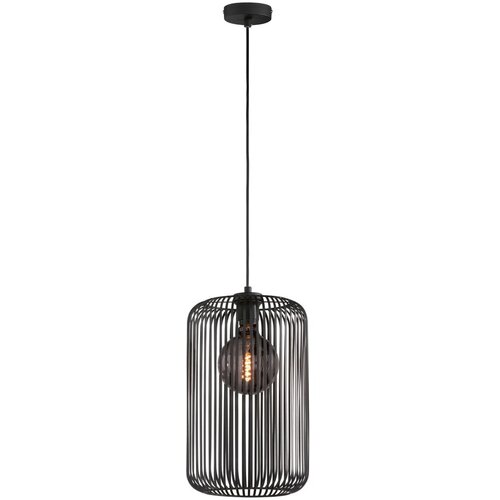 Fischer & Honsel Črna viseča svetilka s kovinskim senčilom ø 25 cm Cage – Cene