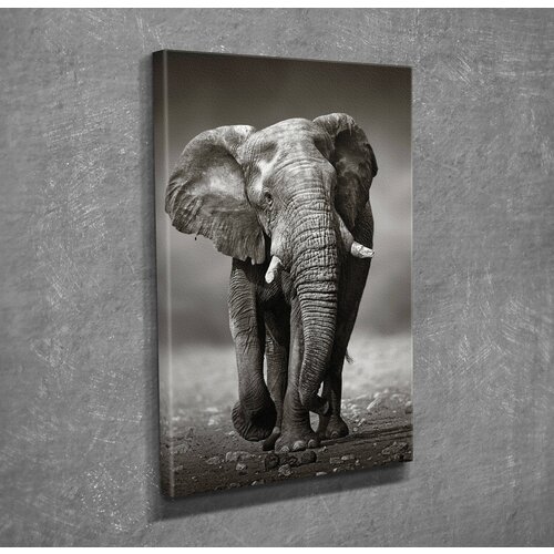 Opviq slika na platnu 30x40cm Cene