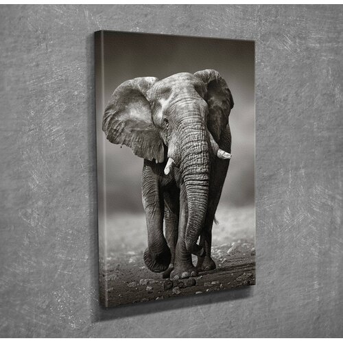 Opviq Slika na zidu na platnu 30x40cm Cijene