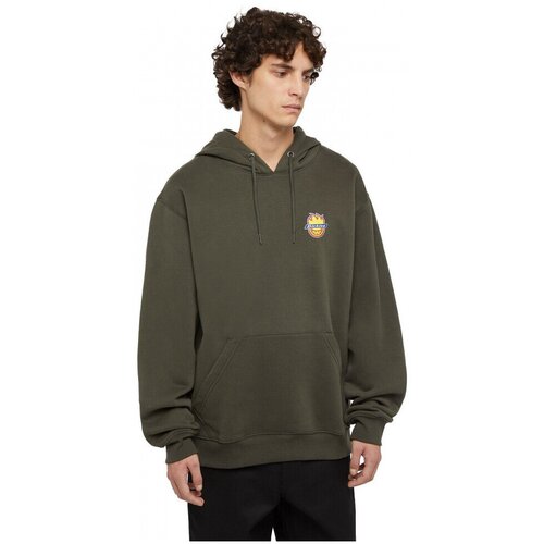 Dickies Puloverji x spitfire hoodie Zelena Cene