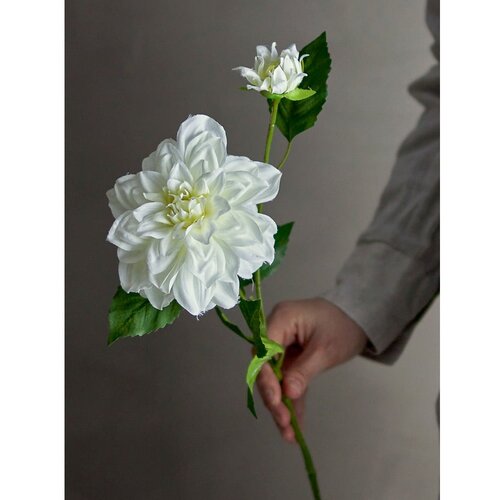 Bloomingville Umjetna biljka (visina 63,5 cm) Dahlia &amp;ndash; Slike