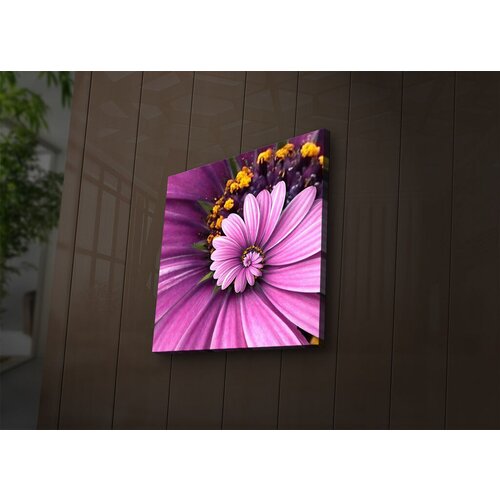 Wallity Slika sa LED osvetljenjem 2828İACT-43, 28x28 cm Cene
