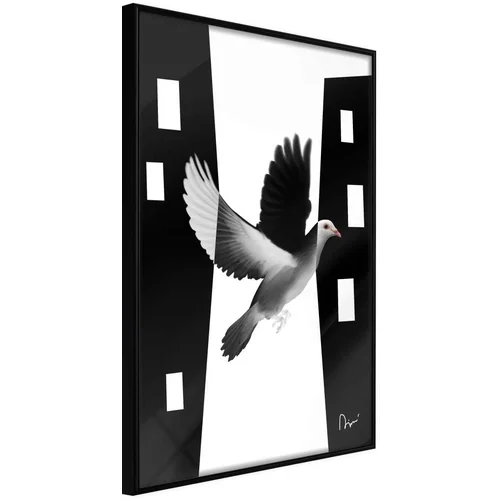  Poster - Caught in Flight 30x45