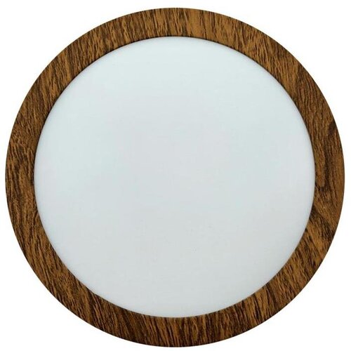  LED plafonsko svetlo RING LED/12W/230V 4200K prečnik 16 cm braon Cene