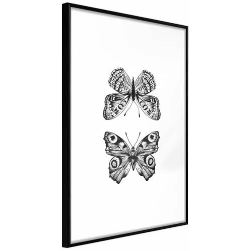  Poster - Butterfly Collection I 20x30